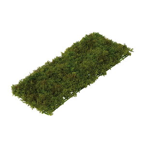 lHA Op }bg VmuSP}bg FUV A70TR324 GNXeA tFCNO[ O[x LN kCzs s