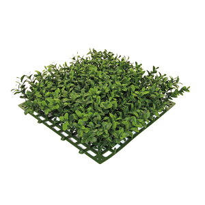 lHA Op }bg cQ}bg FUV A70TR322 GNXeA tFCNO[ O[x LN kCzs s