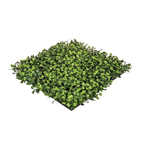 lHA Op }bg {bNXEbh}bg UV A70TR321 GNXeA tFCNO[ O[x LN kCzs s