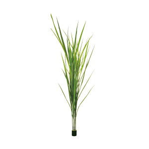 lHA  Op AJV  FUV A70TR135 GNXeA tFCNO[ O[x LN kCzs s