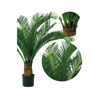 lHA  Op \ec UV A70TR111 GNXeA tFCNO[ O[x LN kCzs s