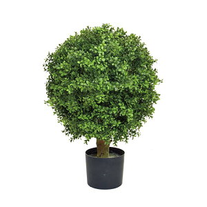 lHA  Op {[ cQ UV A70TR652 GNXeA tFCNO[ O[x LN kCzs s