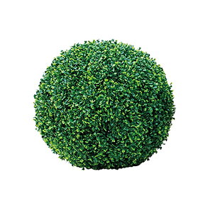 lHA  Op {[ {bNXEbh UV A70TR651 GNXeA tFCNO[ O[x LN kCzs s