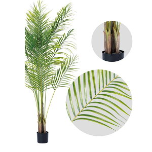 lHA  p AJV A70TN528 GNXeA tFCNO[ O[x LN kCzs s