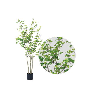 lHA  p hE_ccW H1500 A70TN115 GNXeA tFCNO[ O[x LN kCzs s