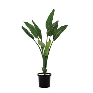 lHA  p Xg`A A70TN142 GNXeA tFCNO[ O[x LN kCzs s