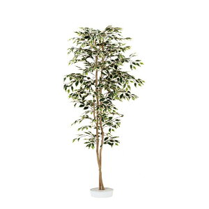 lHA  p nCAtBJX A70ND065 GNXeA tFCNO[ O[x LN kCzs s