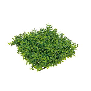 lHA p  p [v}bg A70NT274 GNXeA tFCNO[ O[x LN kCzs s