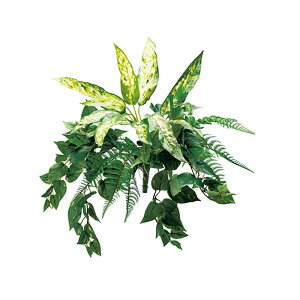 lHA  p V_AWA A70NC406 GNXeA tFCNO[ O[x LN kCzs s