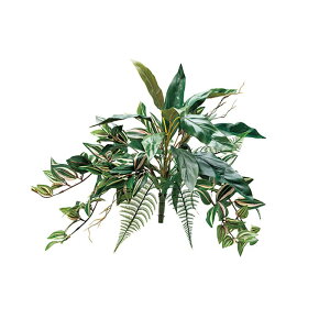 lHA  p V_AWB A70NC407 GNXeA tFCNO[ O[x LN kCzs s