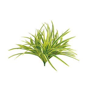 lHA  p u CG[ A70NS614 GNXeA tFCNO[ O[x LN kCzs s