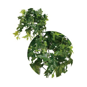 lHA pK[h CObVACr[ A70NS570 GNXeA tFCNO[ O[x LN kCzs s