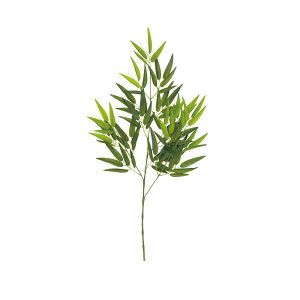 lHA | p |[t A70NT508 GNXeA tFCNO[ O[x LN kCzs s