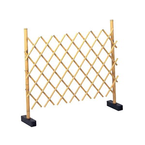 lH|i ݊_ 2{ | A60CD110Y GNXeA lH| O[x LN kCzs s