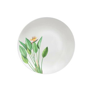 M OWG fBi[v[g 25cm 96011/504 Jg[ v[g  H geB[i KD