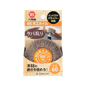 hu BS؍HzC Po x60 50×25×6.3mm 50203 5Zbg Zp ؍ ؍H h CpNghCo[ ICHIGUCHI C`O` JS