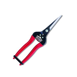 E GNXgO^Cv uX^[pbN 300LL-BP ͂ nT~  ʎ ARS AX KD  [