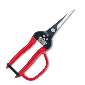 E GNXgO^CvK[ht uX^[pbN 300LL-G-BP ͂ nT~  ʎ ARS AX KD  [