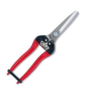 ؉ LnXeX uX^[pbN 300LW-DX-BP ͂ nT~  ʎ ARS AX KD  [