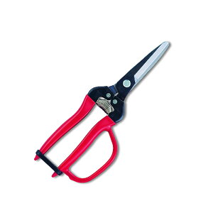 ؉ LnK[ht uX^[pbN 300LW-G-BP ͂ nT~  ʎ ARS AX KD  [