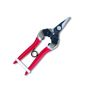 c uX^[pbN 310-D-K-BP ͂ nT~  ʎ ARS AX KD  [