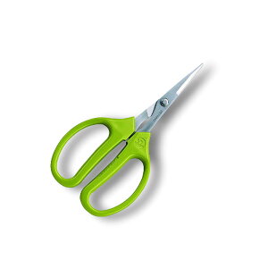 V[vNtg n 330S-T ͂ nT~  | vf ARS AX KD  [