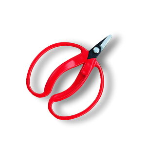 ̎ 咼 ܓ 400 ͂ nT~  ʎ ARS AX KD  [