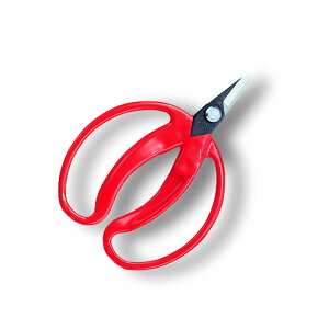 ̎  ܓ 420 ͂ nT~  ʎ ARS AX KD  [