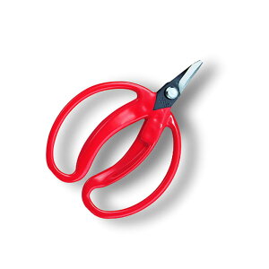 nT~ ̎  ܓ 430 ͂  ʎ AX ARS KD  [