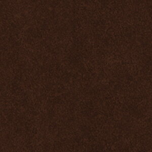 �ǎ� ���� �V�� �Ă�҂傤 A-731 �X�L�[�W�[�Z�b�g belbien �x���r�A�� �^�L�����}�e�b�N�X L�N ���ꌧ�z���s�� ����s��