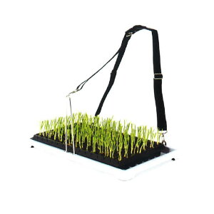 cg[ Xs[hcg[ cA Jy y ȗ͉ 擾 ˒ s