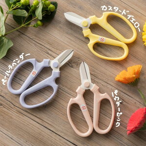 Ԍ ԗpnT~ nhNG[V F170 ͂    | ԉ t[Vbv ObhfUC ⌹ OyD  [