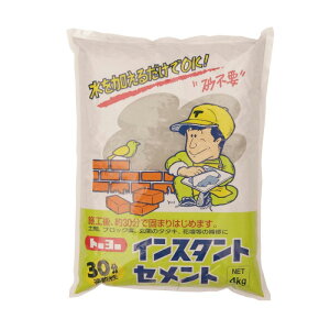 セメント 30分速乾性 インスタントセメント グレー ポリ袋 5151 4kg×5袋セット 骨材入 砂不要 トーヨーマテラン 車上渡し 個人宅配送不可 代引不可