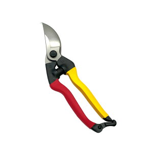  v210 ԉObv 210mm 6{Zbg  nT~    뉀 { ImecH OyD