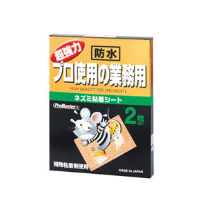 lY~߂ vgpƖphubN^ 2 Ɩp S SV[g hl lY~߂ ߊl V}_ KD  [