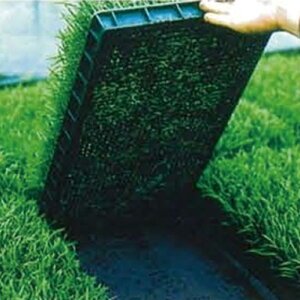 ՒfV[g uV[g ubN 210cm×100m 20507BKD Ւf c V[g sDz pHsv _앨 UNITIKA j`J J{ lzs s