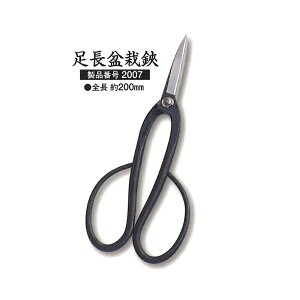 nT~ ~ k[  2007  S 200mm O Os  ͂ zTO c{^ JSD  [