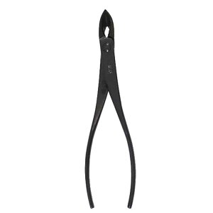 ~͓ ז} No.6B | A K[fjO  BONSAI { in쏊 s