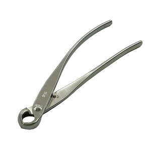 ~͓ XeX Ru  No.808 Trɂ | A K[fjO  BONSAI { in쏊 s