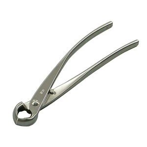 ~͓ XeX Ru  No.810 Trɂ | A K[fjO  BONSAI { in쏊 s