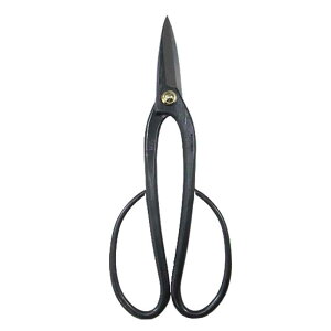 ~͓ } No.36C nT~ ͂ ~ | A K[fjO  BONSAI Shears { in쏊 s