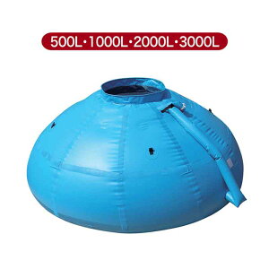 󒍐Y [N EH[^[^N 3000L No.4203 ^N   hΐ  ЊQ nk  LpWp SX s