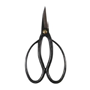 ~͓ ~  40B nT~ ͂ ~ | A K[fjO  BONSAI Shears { in쏊 s