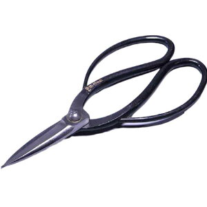 ~͓ n~  41 nT~ ͂ ~ | A K[fjO  BONSAI Shears { in쏊 s