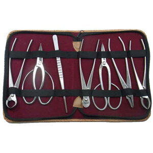 ~͓ XeX 7_Zbg 176S ~ } j ~ | A K[fjO  BONSAI { in쏊 s