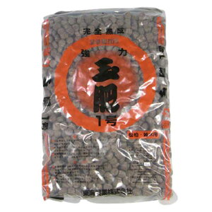 엿 ͋ʔ 8kg 嗱 1  Gؗp 2737 ~ h{  | A K[fjO  BONSAI in쏊 s