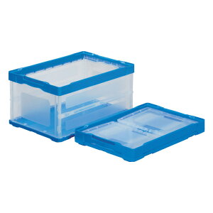 �R���e�i �I���R��F41B ���� 558990-00 5�Z�b�g ���n �I���R�� �N���A �^�� �A�� �ו���h�~ �O�b �T���R�[ �l��z���s�� ����s��