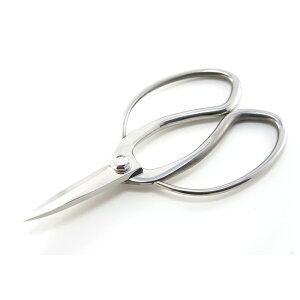 ~ 낱  SLDv A-12 nT~ | A K[fjO  BONSAI a| XLnKl  BD  [