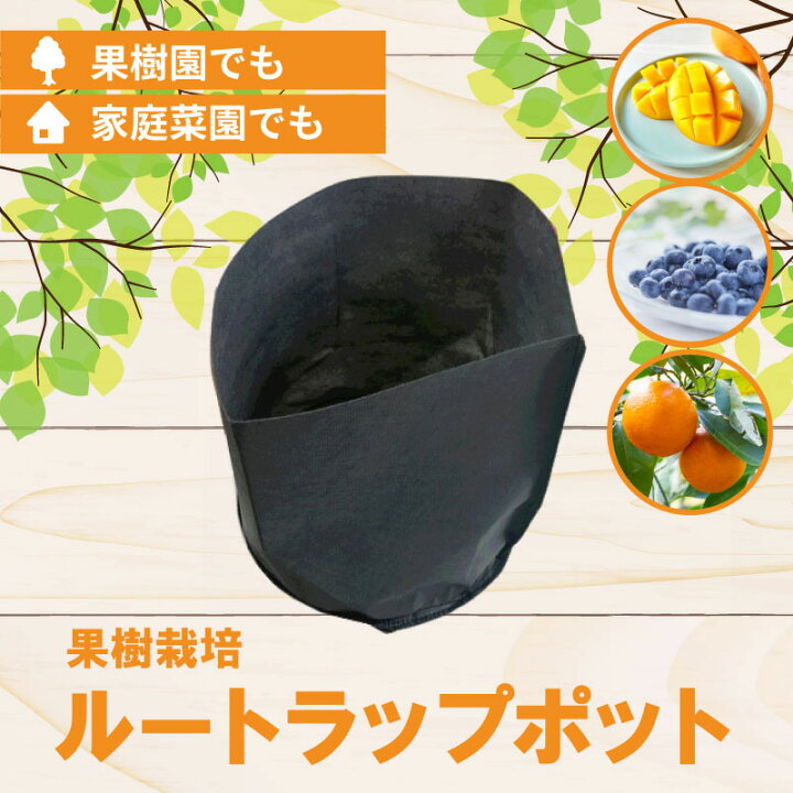 楽天市場】ルートラップ ポット 10A 40号 直径 45cm × 高さ 40cm 容量 60L 不織布 ポット ルートラップポット 根域制限 防根 遮根 透水 バラ販売 ハセガワ工業DZ : プラスワイズ ホームセンター店 楽天市場】ルートラップ ポット 10A 40号 直径 45cm × 高さ 40cm 容量 60L 不織布 ポット ルートラップポット 根域制限 防根 遮根 透水 バラ販売 ハセガワ工業DZ : プラスワイズ ホームセンター店