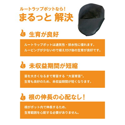 【楽天市場】ルートラップ ポット 10A 8号 100枚 直径 24cm × 高さ 25cm 容量 8.5L 不織布 ポット ルートラップ